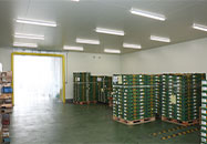 追熟加工施設拡張⑦